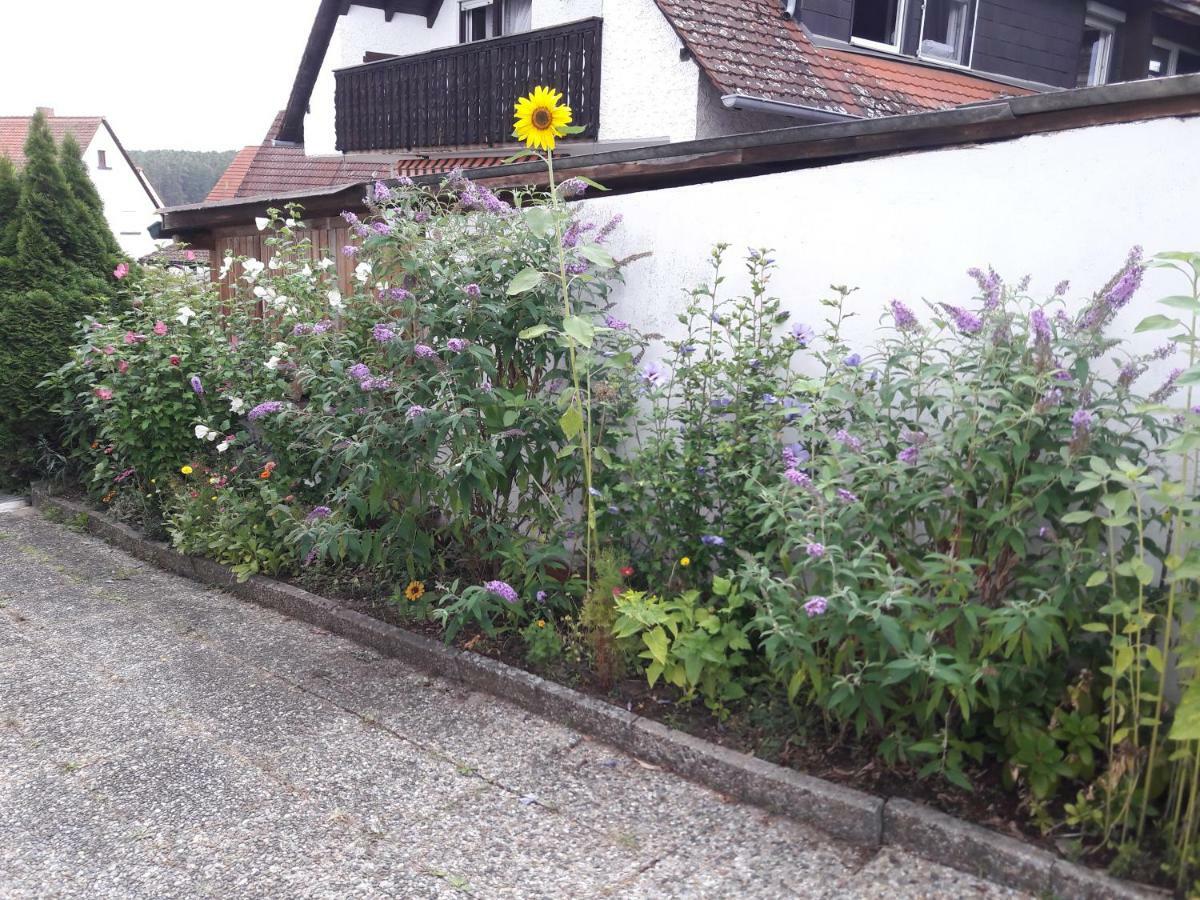 Ferienwohnung Lerchennest Georgensgmund Luaran gambar